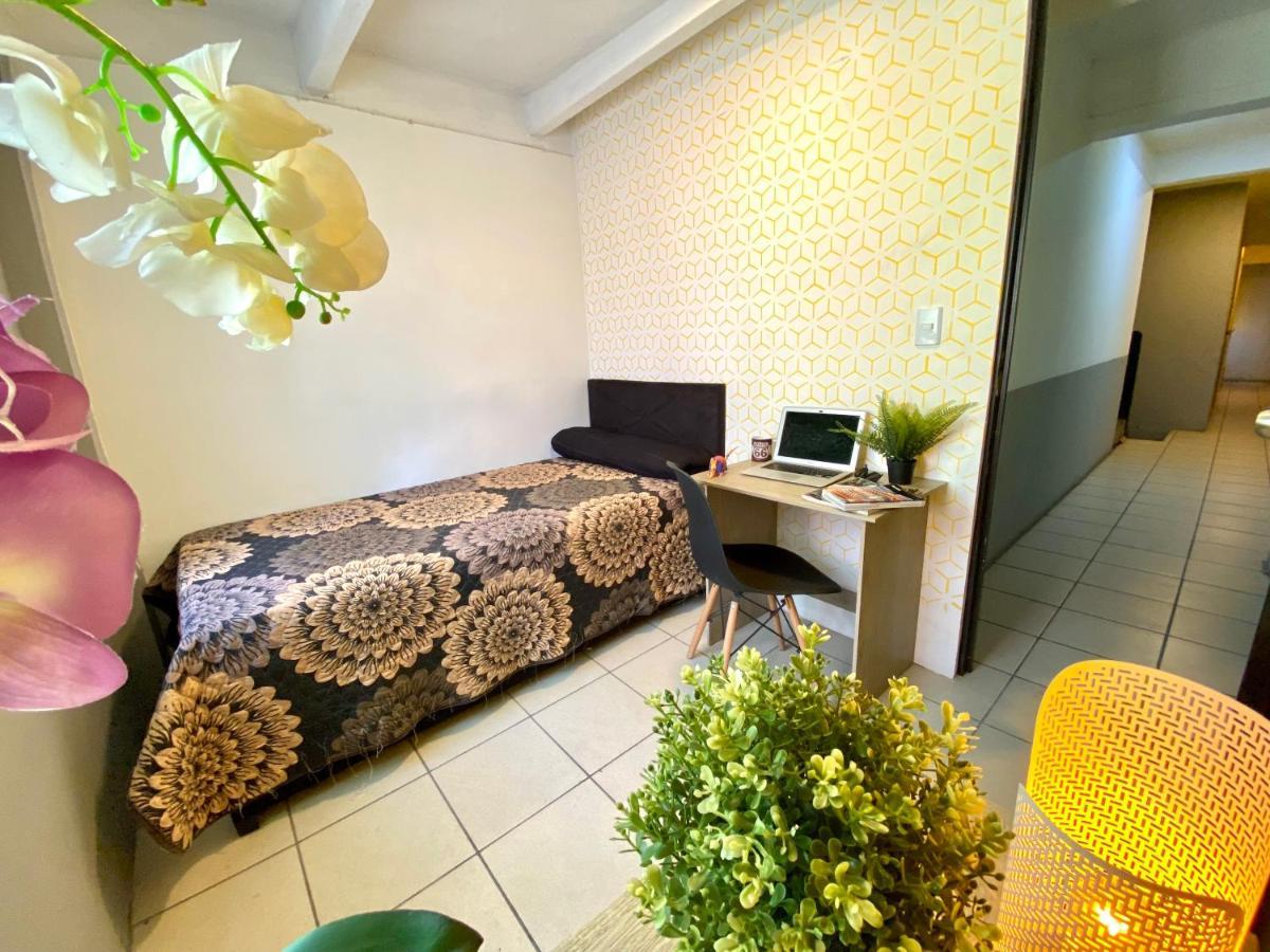 Roomies Hostel - Santa Maria La Ribera Mexico By Eksteriør billede