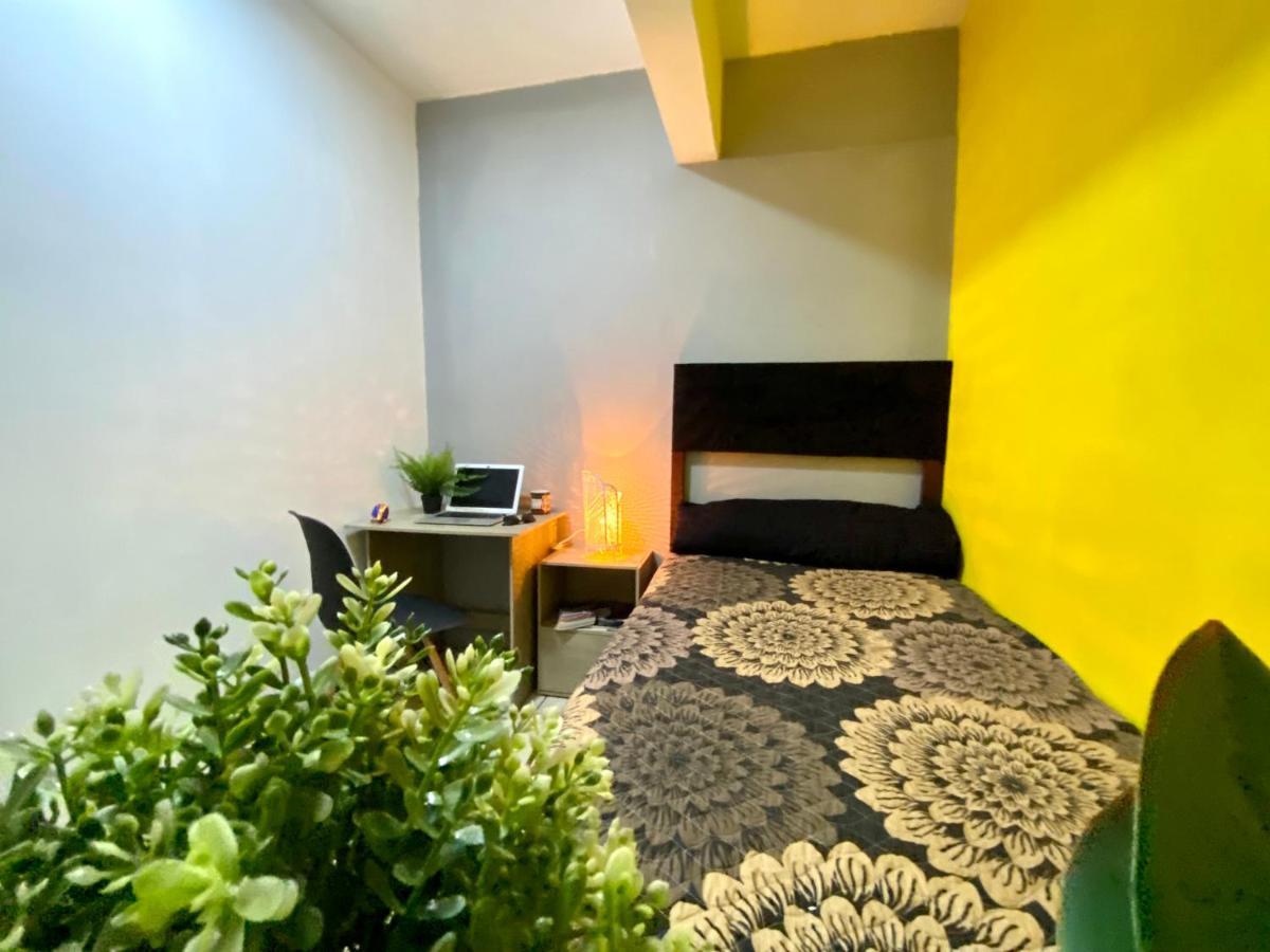 Roomies Hostel - Santa Maria La Ribera Mexico By Eksteriør billede