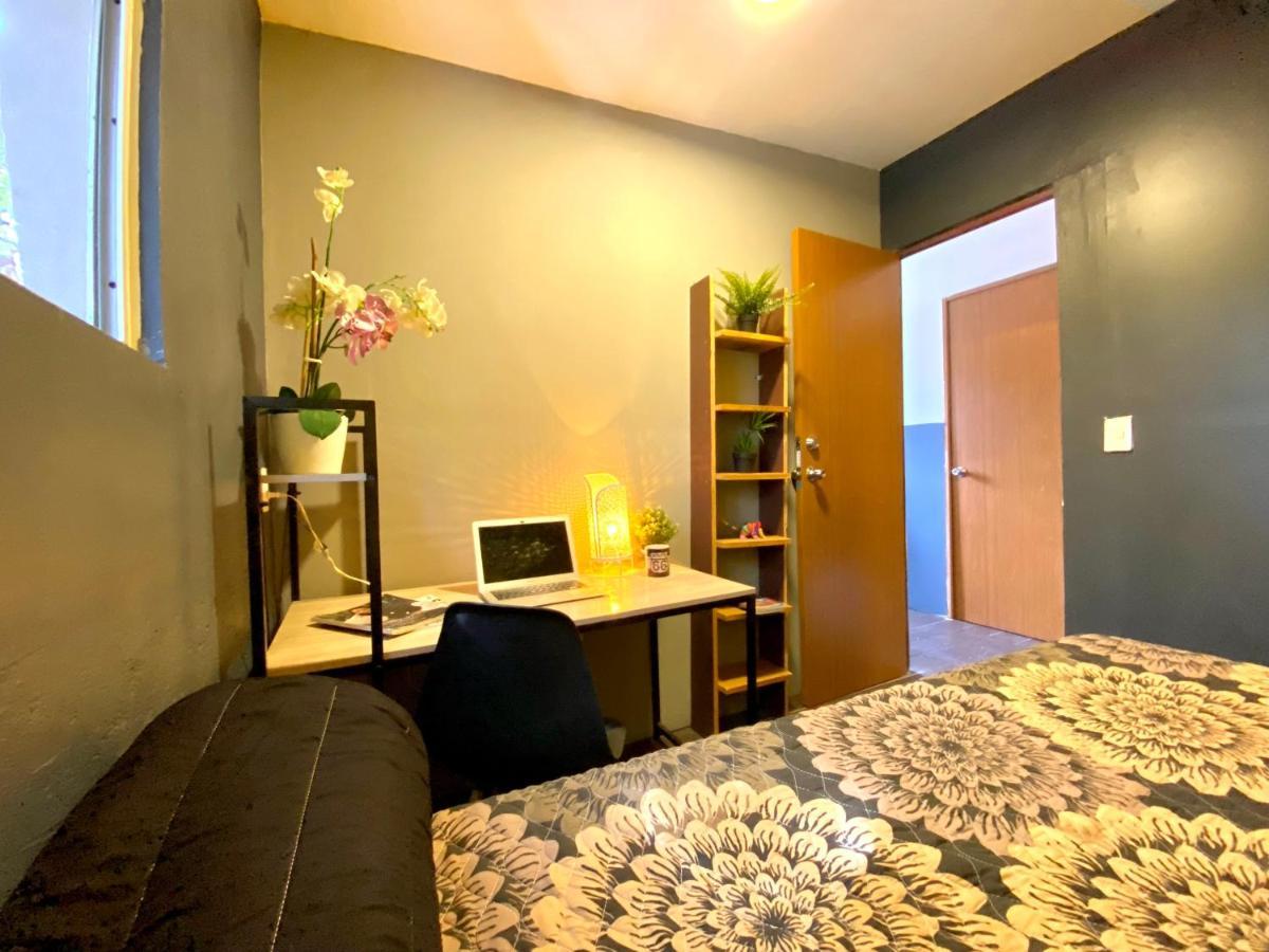 Roomies Hostel - Santa Maria La Ribera Mexico By Eksteriør billede
